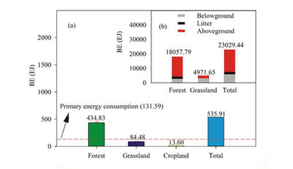 地理资源所揭示中国陆地生态系统生物能值时空动态分布规律与生物质能资源数据库信息系统的构建